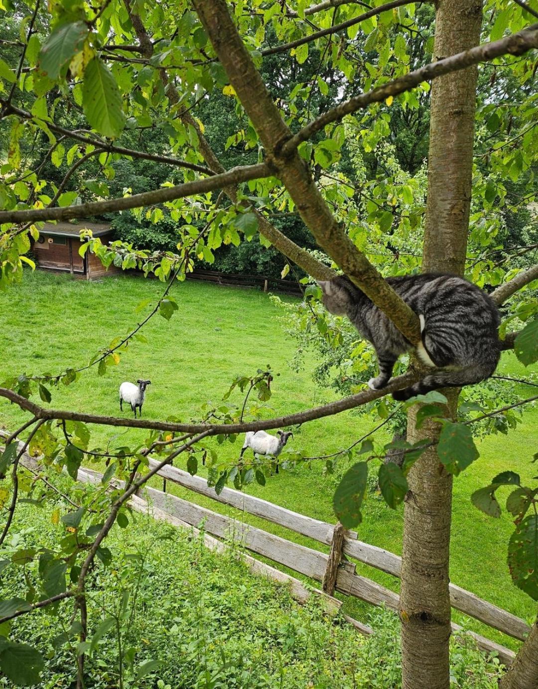Souterrainwohnung Im Gruenen Witten Exterior photo